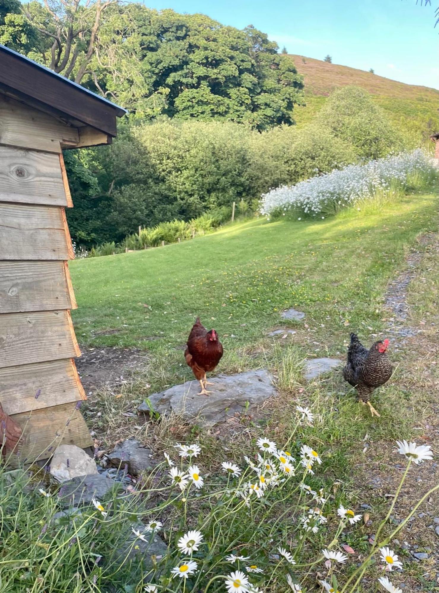 Faraway Follies Villa Llandegla Luaran gambar